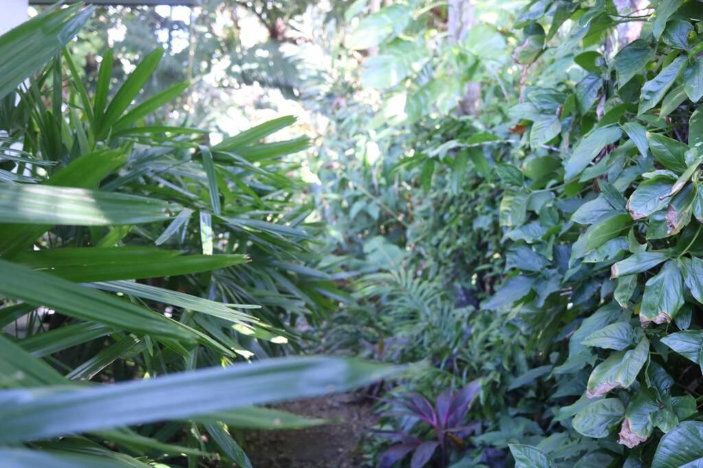 Beauty Tiny Walk To Sea Villa Port Douglas Exterior photo